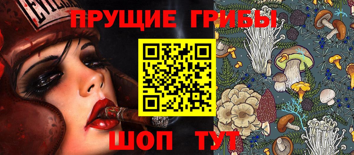 Галлюциногенные грибы GOLDEN TEACHER Корсаков