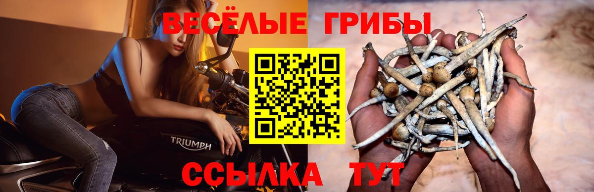 Галлюциногенные грибы ЛСД  Вход с VPN  Псилоцибиновые грибы прущие грибы  Корсаков 